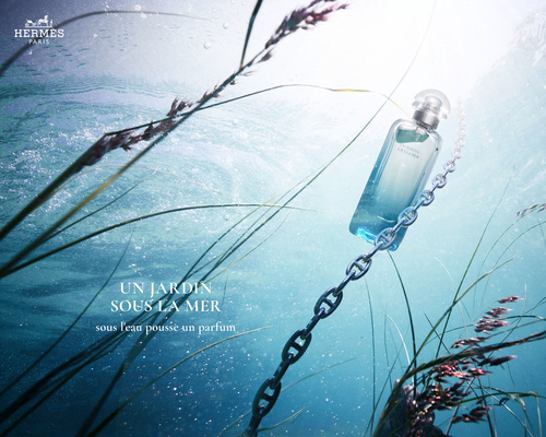 Ambroise Tézenas - Un Jardin sous la Mer