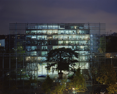 Ambroise Tézenas - La Fondation Cartier pour l’Art Contemporain