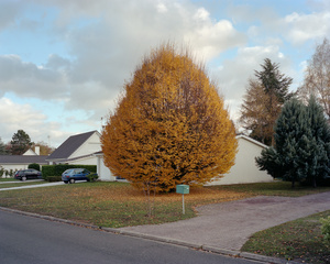 Ambroise Tézenas - 7