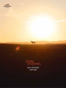 Ambroise Tézenas - 2